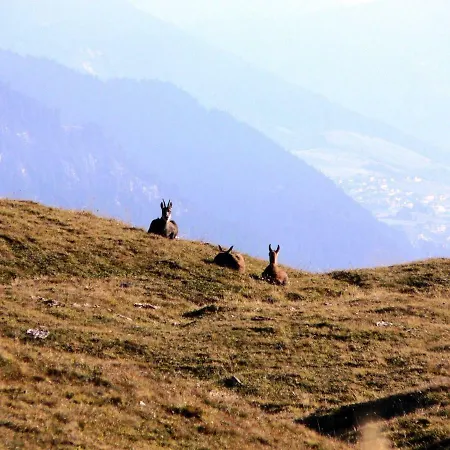 Alpenflair Nauders