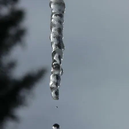 Διαμέρισμα Alpenflair